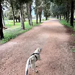 Biancasa Casa vacanze *