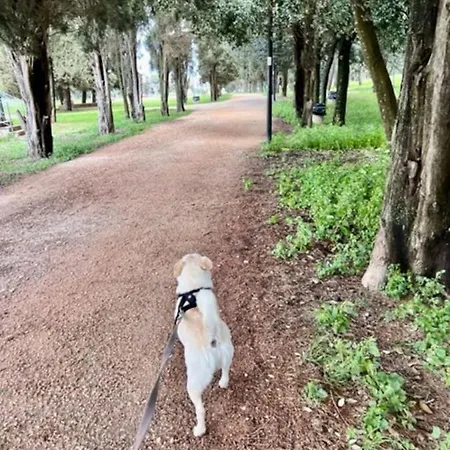 Сasa de vacaciones Biancasa *