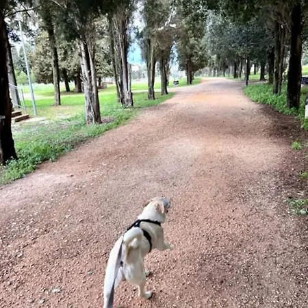 Biancasa Сasa de vacaciones *