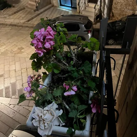 Σπίτι διακοπών Biancasa Carovigno