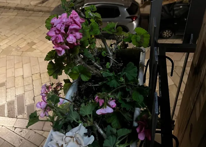 度假居 Biancasa 卡洛维诺